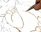 contorno