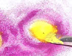 miolo