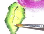 Sombra
