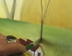 tronco