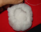 pompom